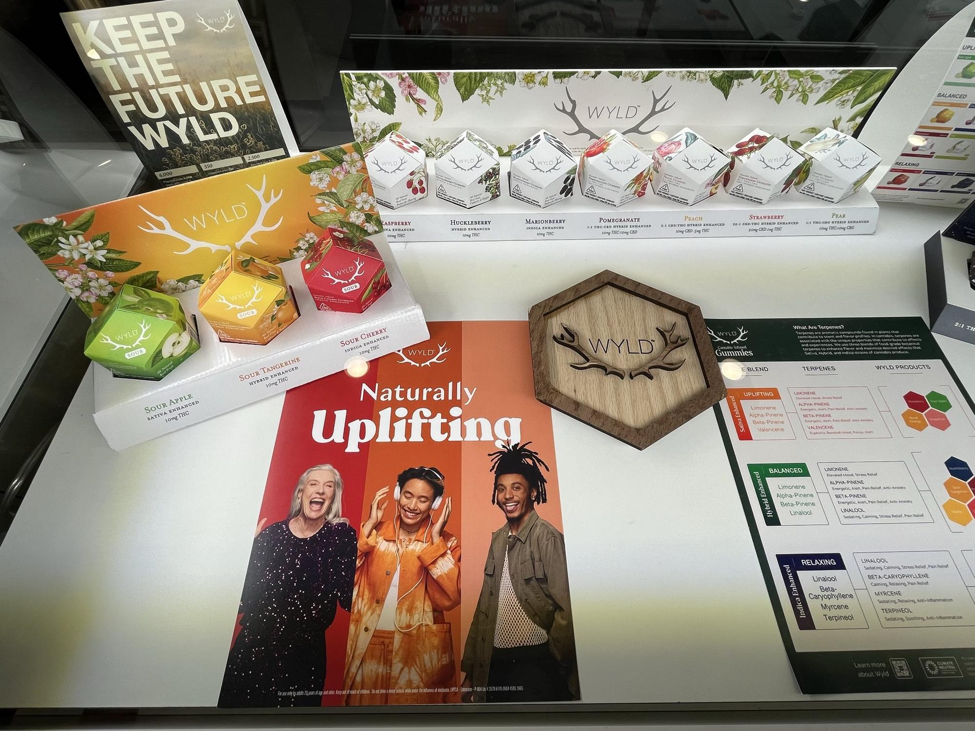 Sun, Sand, and Sativa: Your Guide to Shoreline Cannabis Delights